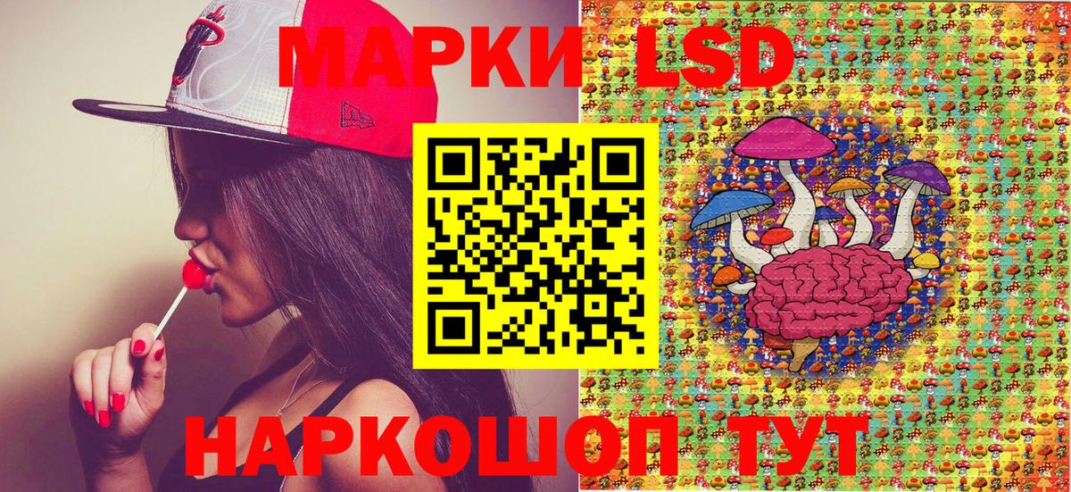 Лесной  Марки NBOMe 1,8мг  Марки NBOMe 1,8мг  Вход с VPN 