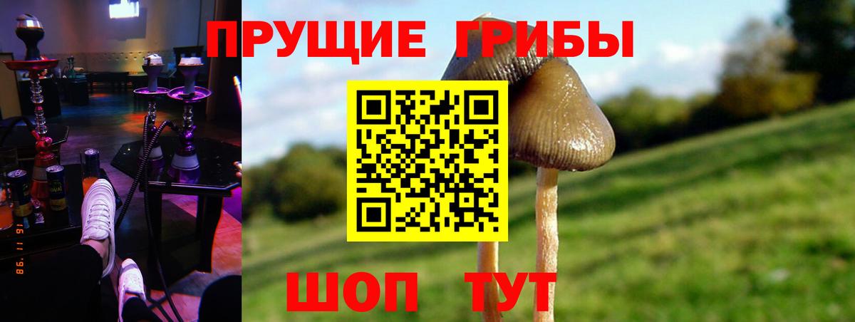 Галлюциногенные грибы Psilocybine cubensis  Галлюциногенные грибы MAGIC MUSHROOMS  Лесной  Вход с VPN 