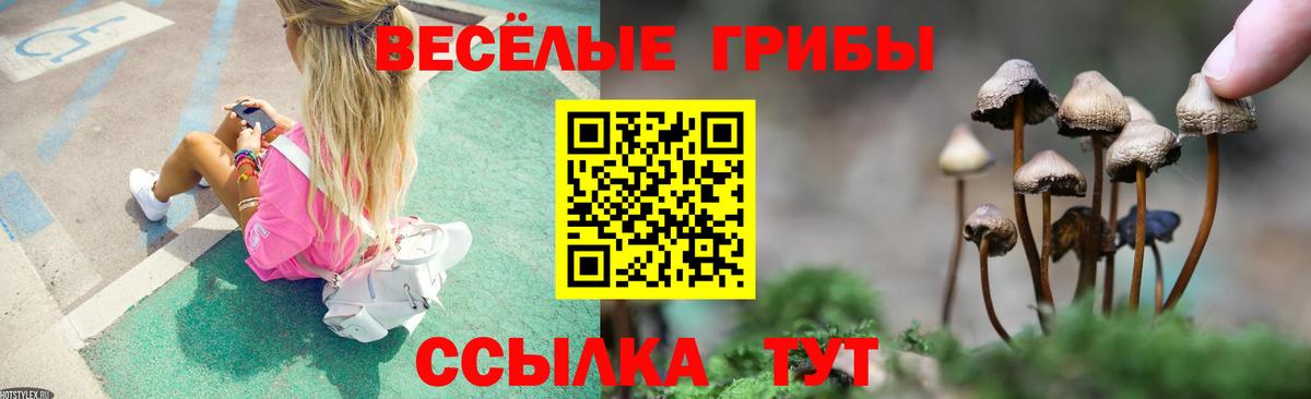 Псилоцибиновые грибы Cubensis Лесной
