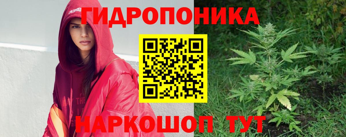 Марихуана семена Лесной